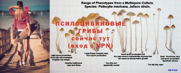 хмурый Гусев